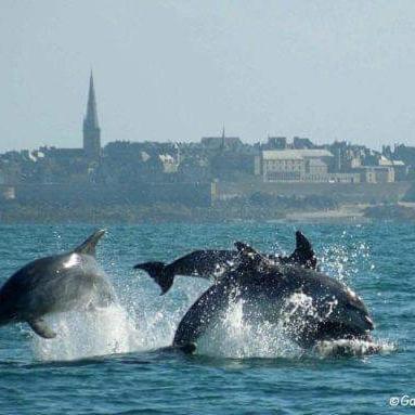 Le Clos Boheme Daire Saint-Malo Dış mekan fotoğraf